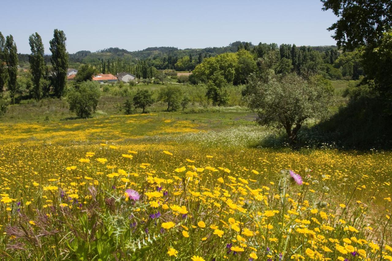 Quinta Da Alcaidaria Mor Villa Ourém Buitenkant foto